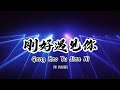 Gang Hao Yu Jian Nie Remix Just Met You 刚好遇见你