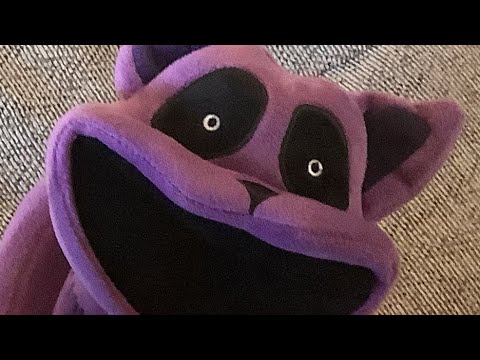 Catnap is a great guy but he doesn’t like the fact he is not in a position of authority 