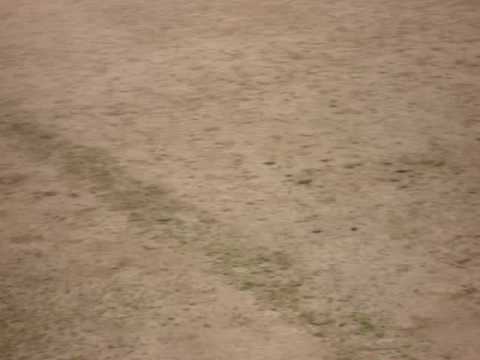 Colonia Julia Usellus - Ciaris inventa.....