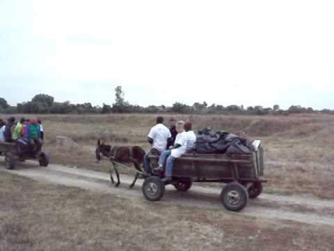 curatenie in tufeni olt 15