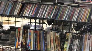 Let's See What I Find at Goodwill - Join Me!