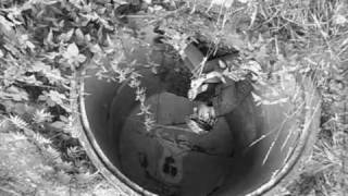 Otterly Cocteau Twins