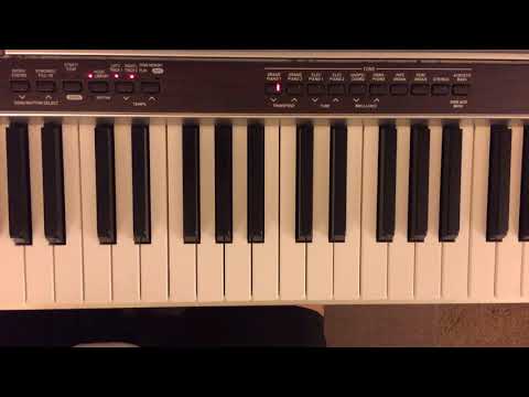 Fifth plus Steps Bb2-Ab4