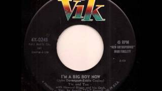 Tic & Toc - I'm A Big Boy Now on Vik