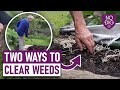Conquer Weeds The No Dig Way Insights From Charles Dowding