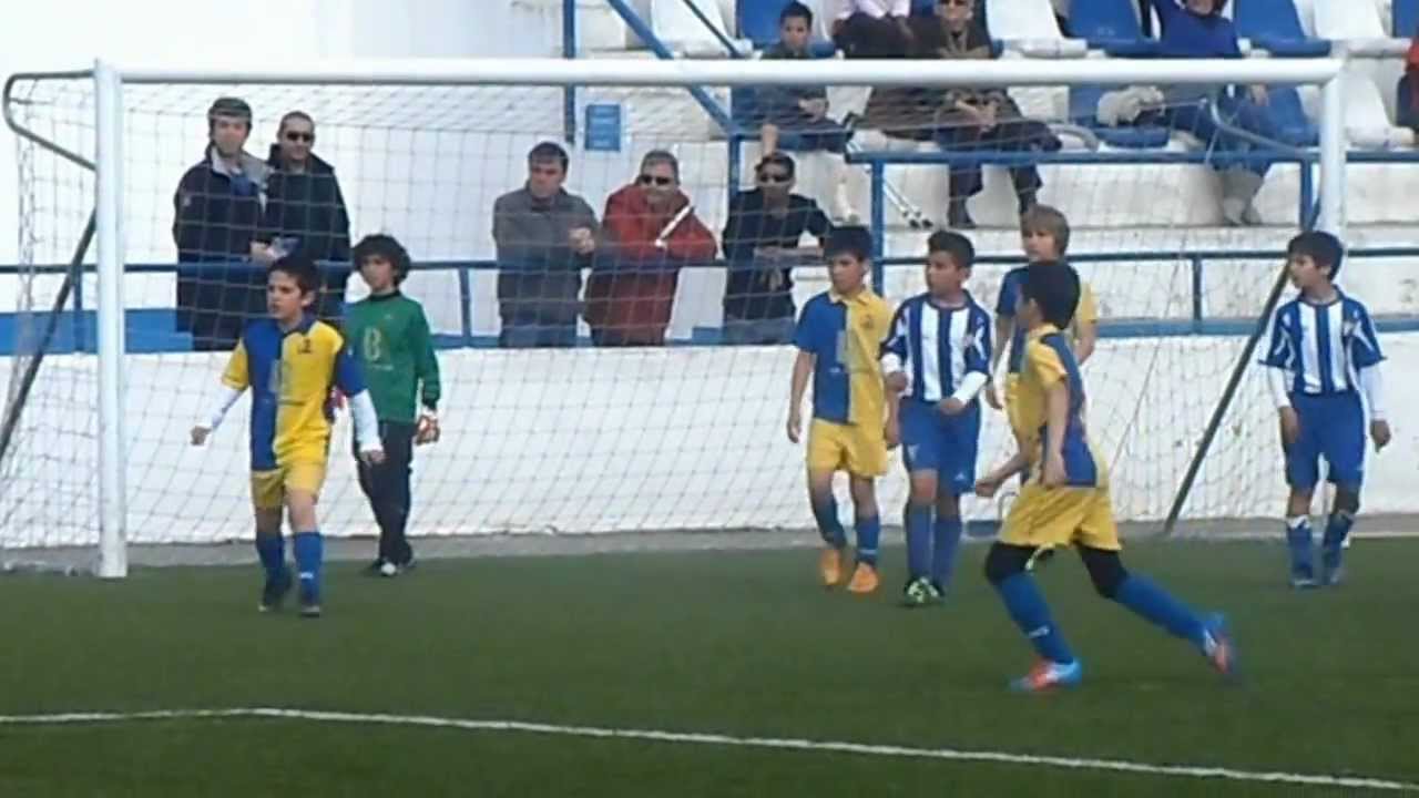 DANI Amarelos/ Pinhalnovense.wmv