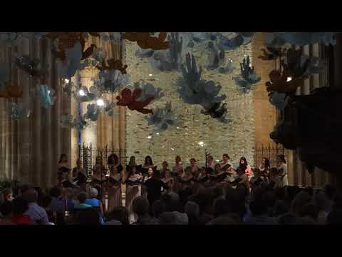 FVT 2019 - Vocal Ensemble Brevis