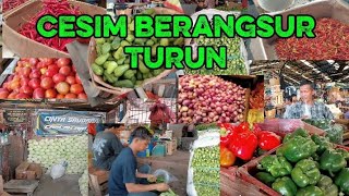 Download lagu Cesim beranjak mulai turun pakcoy masih tinggi.selada juga tinggi. mp3