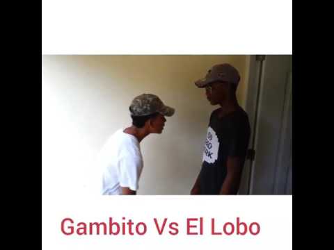 El lobo vs gambito 357