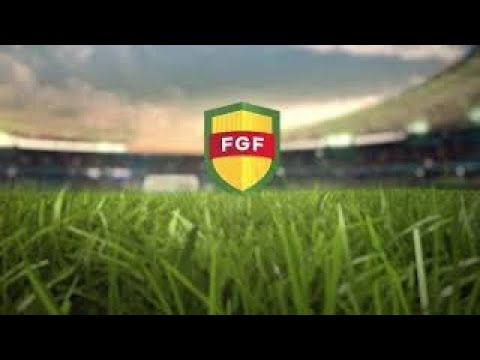 Gols // Novo Hamburgo 3 x 0 Garibaldi // Copa FGF