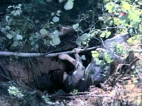 Андрей и злой чародей