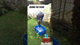 Download lagu DI BALIK LAYAR SI OTAN ||Bersama Rumah Otter 2024 #siotan #trans7 #rumahotter mp3