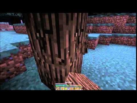 MC: TheCraftyCrew Lets Play 042