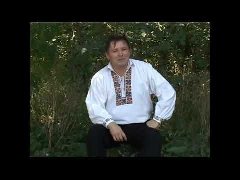 Viorel Leric - Sub nucul batran, la poarta in drum