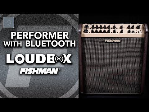 Fishman Loudbox Performer Bluetooth image 7
