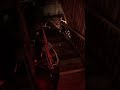 When RDR ONLINE Turns Into A Movie Gaming Viral Rdr2 Rdr2online