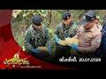 ၼႃႈႁိူၼ်း Video thumbnail