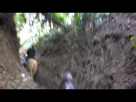 Horse Riding Mt. Vesuvius - Naples