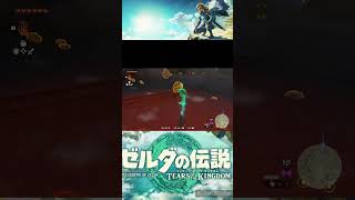 お前がまわるんかーい！#ゼルダの伝説 #ゼルダの伝説ティアーズオブザキングダム #ティアキン