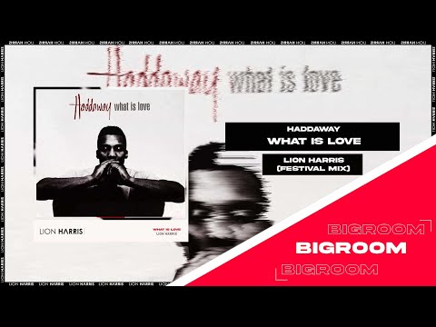 Haddaway - What Is Love  (LION HARRIS Remix)