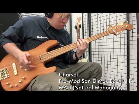 【Ikebe B-Sound Check】Charvel Pro-Mod San Dimas Bass PJ IV MAH【試奏動画】