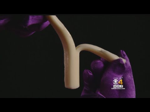 Phantom Gourmet: String Cheese Taste Test