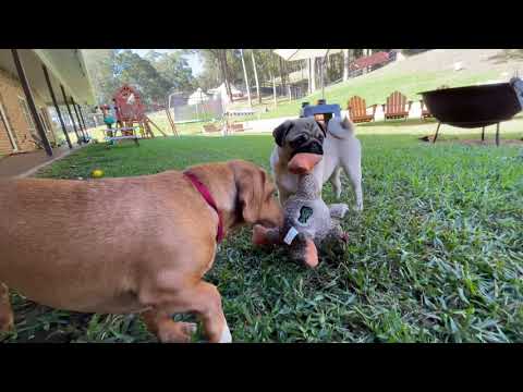 Easter holiday at the farm