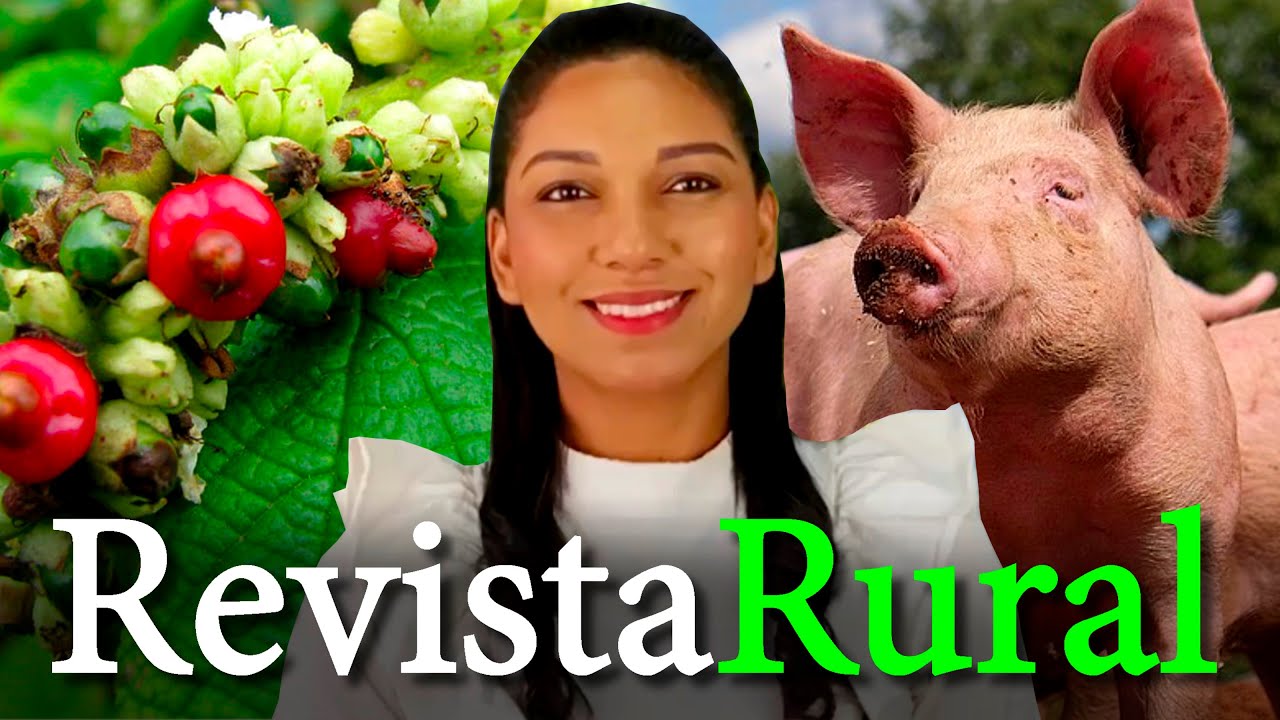 PROGRAMA REVISTA RURAL - 13/10/2024