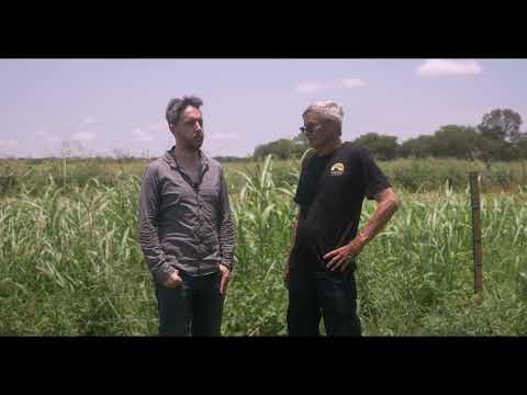 Hibernia | Irish Song from the Pampa