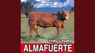 Toro y Pampa