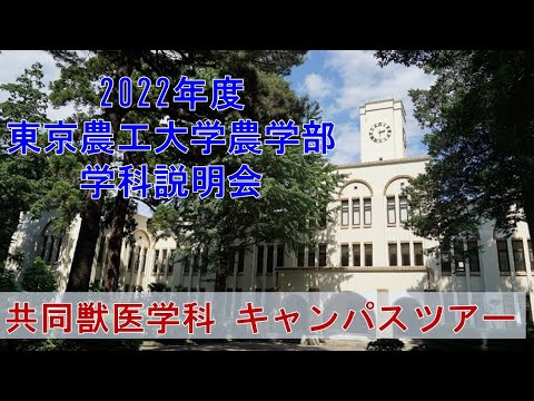 2022年度東京農工大学農学部　学科説明会　共同獣医学科　キャンパスツアー