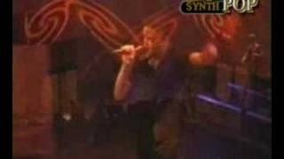 ELEGANT MACHINERY - HARD TO HANDLE