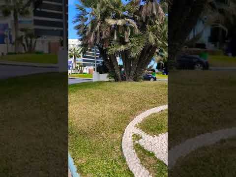 BENALMADENA 🇪🇸 TORREMOLINOS 🤩 SPAIN BEACH