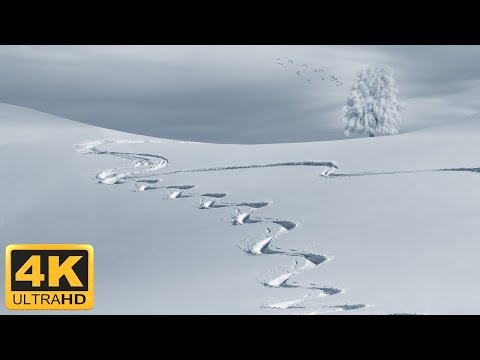 Красивые зимние пейзажи леса и гор под приятную релакс музыку. 4K 60fps HDR (ULTRA HD)