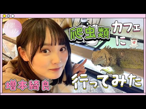 【爬虫類カフェ】増本綺良の爬虫類愛が爆発🐍🦎〇〇とも触れ合ってみた…⁉️