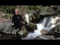 Qigong And Tai Chi Dr Jahnke OMD