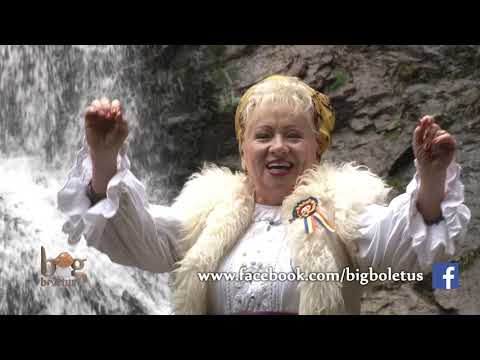 Sava Negrean Brudașcu - Love is not always possible