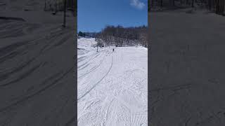 preview picture of video 'Chloe's first skiing run of 2019!'
