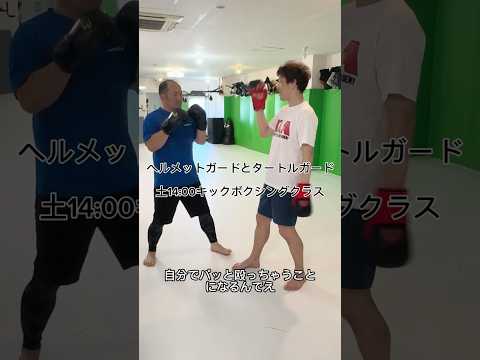 ヘルメットガードとタートルガード