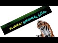 Animals Energic Sentencestelugu Whatsapp Status Love Whatsapp Status Samantha Janatha Gara