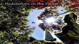 Meditation In The Forest  -  HD 1 hour nature + music  ♫♪♫ by Ariel Kalma - whole album