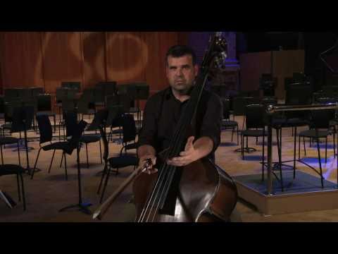 LSO Master Class - Double Bass