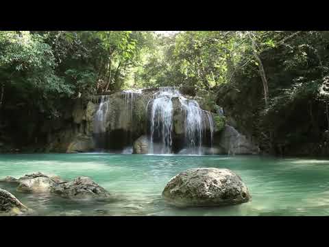 ENDA MUSIC - Garden Of Eden