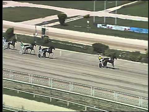 Trotto 25/08/2015 - 1° prova di qualifica