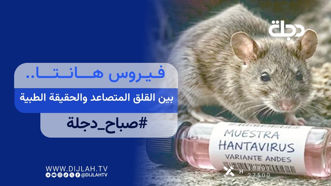 فيديو | فيروس هانتا.. بين القلق المتصاعد والحقيقة الطبية | صباح دجلة