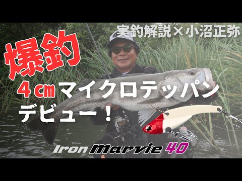 Cicada EverGreen Iron Marvie 40 4cm 5.5g Red Head Holo S