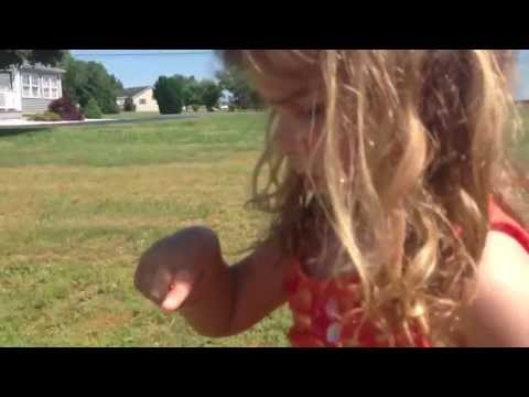 パパ日記#1 - てんとう虫を食べる！？ (Daddy Diaries #1 - Eating Ladybugs!)