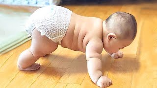 Download lagu Funniest and Cutest Chubby Babies ever Chubby Baby... mp3