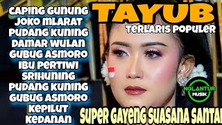Download lagu TAYUB TERLARIS SUPER GAYENG SUASANA SANTAI DI JAMIN GLERRR DAN JERNIH mp3