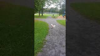 Alien attack in Orleans ottawa